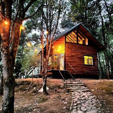 Unicorn Lodge: Direct Riverfront : Unique Experience Сан Херардо де Дота Екстериор снимка