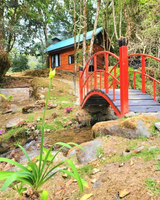Unicorn Lodge: Direct Riverfront : Unique Experience Сан Херардо де Дота Екстериор снимка