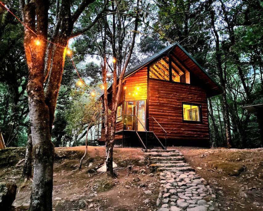 Unicorn Lodge: Direct Riverfront : Unique Experience Сан Херардо де Дота Екстериор снимка