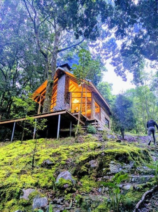 Unicorn Lodge: Direct Riverfront : Unique Experience Сан Херардо де Дота Екстериор снимка
