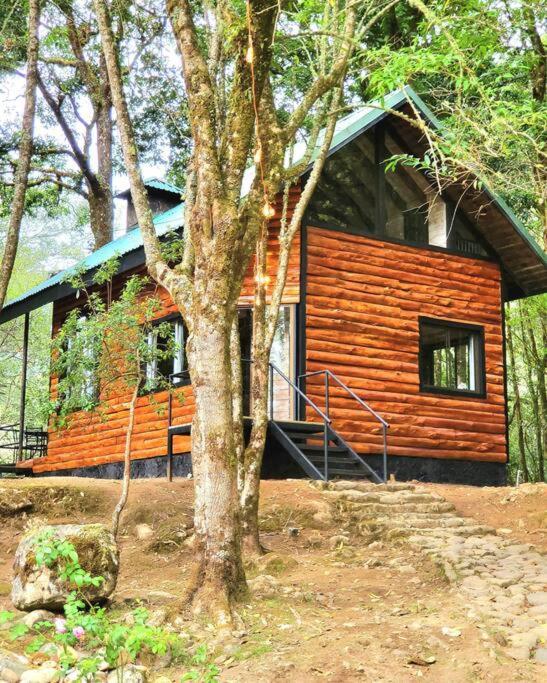 Unicorn Lodge: Direct Riverfront : Unique Experience Сан Херардо де Дота Екстериор снимка