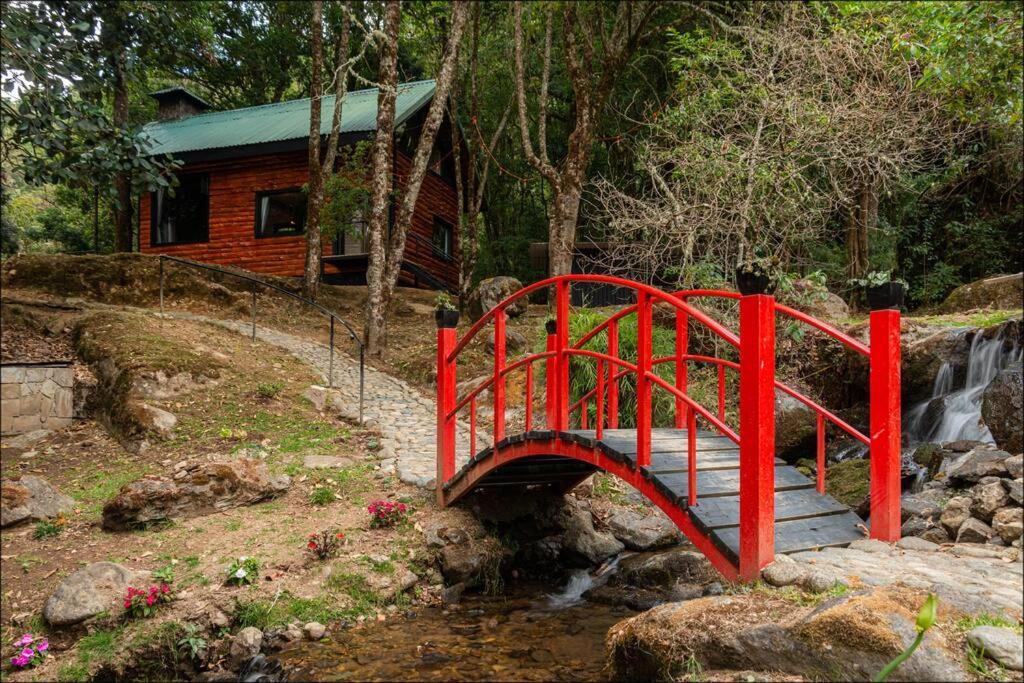 Unicorn Lodge: Direct Riverfront : Unique Experience Сан Херардо де Дота Екстериор снимка